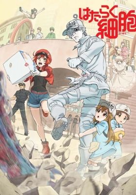 Cells at Work! (Dub)