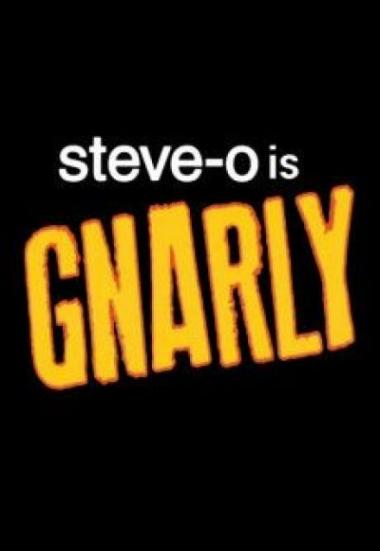 Steve-O: Gnarly 2020