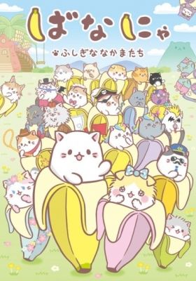 Bananya and the Curious Bunch (Dub)