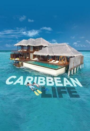 Caribbean Life 2014