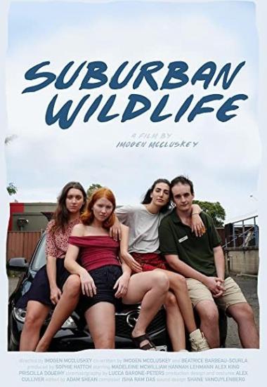 Suburban Wildlife 2019