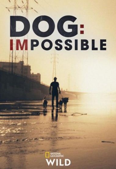 Dog: Impossible 2019