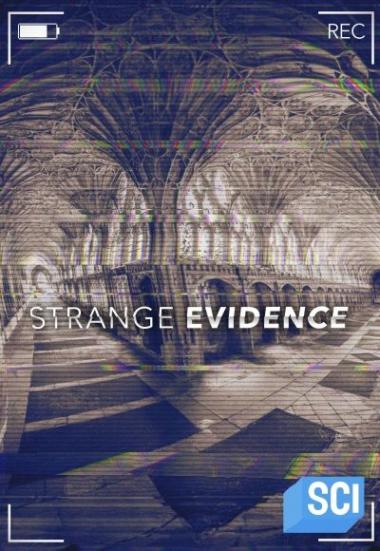 Strange Evidence 2017