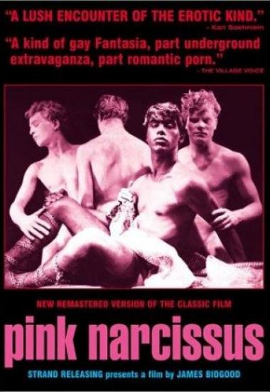 Pink Narcissus 1971