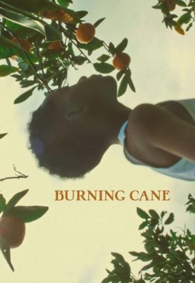Burning Cane 2019