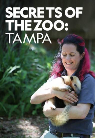 Secrets of the Zoo: Tampa 2020