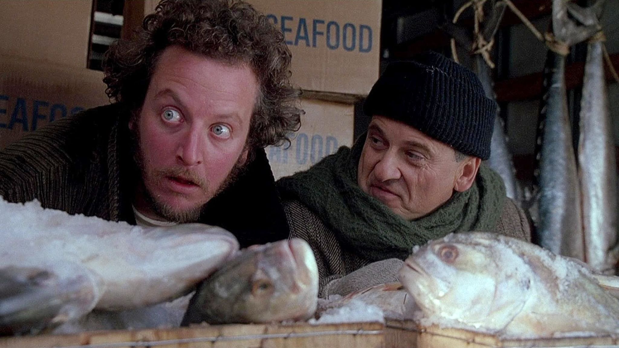 home alone 2 lost in new york
