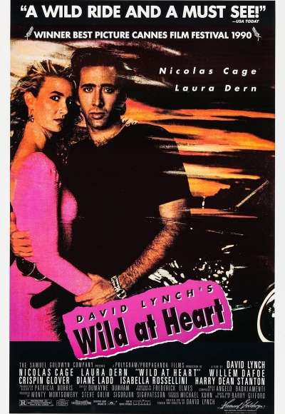 watch wild at heart (1990 online free)